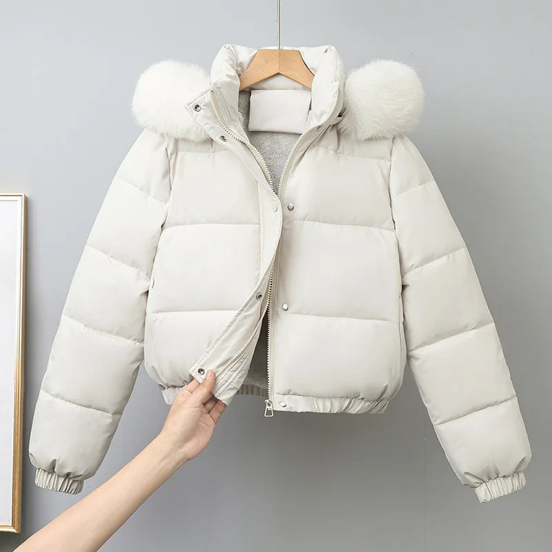 Winter Short Parkas Women's Cotton-padded Clothes Add Velvet Thicken Outerwear Fur Collar Removable Hooded Coats Warm Jackets