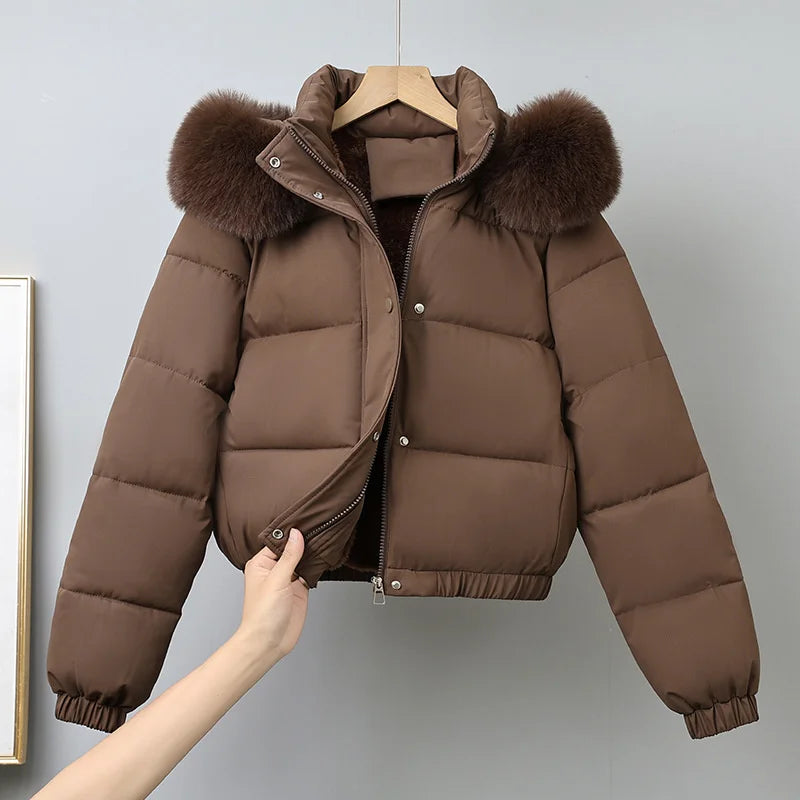 Winter Short Parkas Women's Cotton-padded Clothes Add Velvet Thicken Outerwear Fur Collar Removable Hooded Coats Warm Jackets